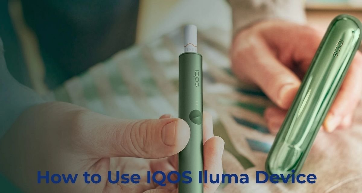 How to Use IQOS Iluma Device
